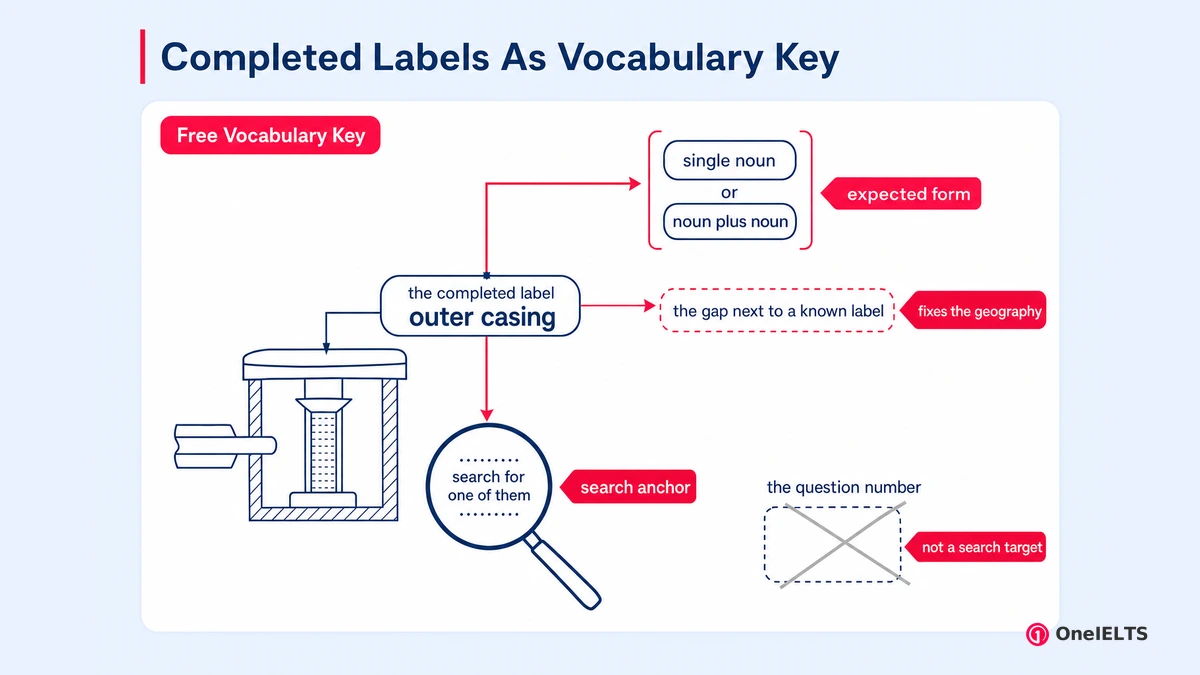 Completed Labels As Vocabulary Key
