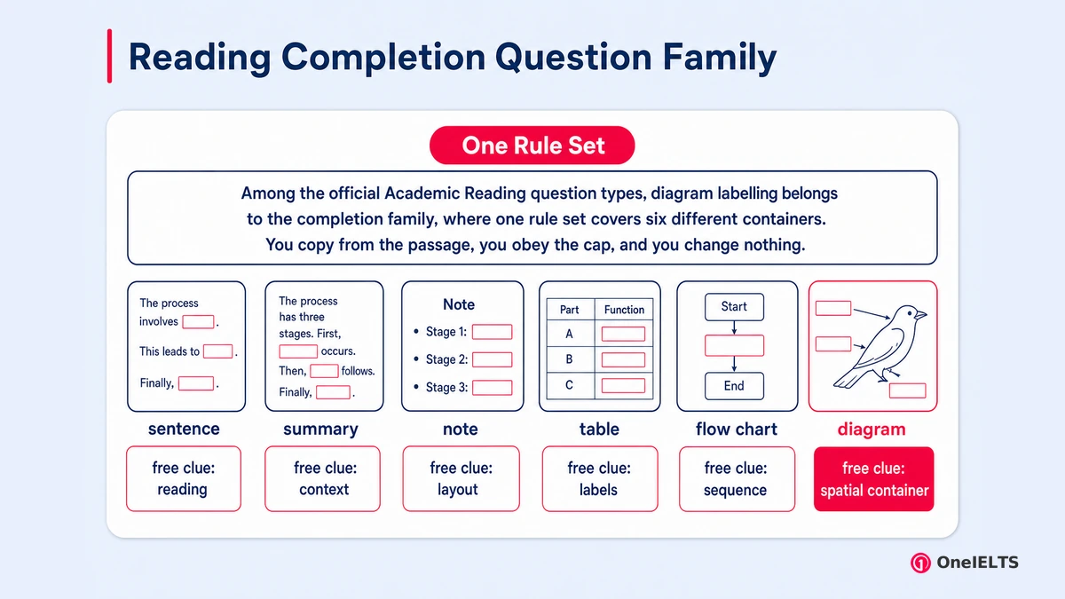 Reading Completion Question Family