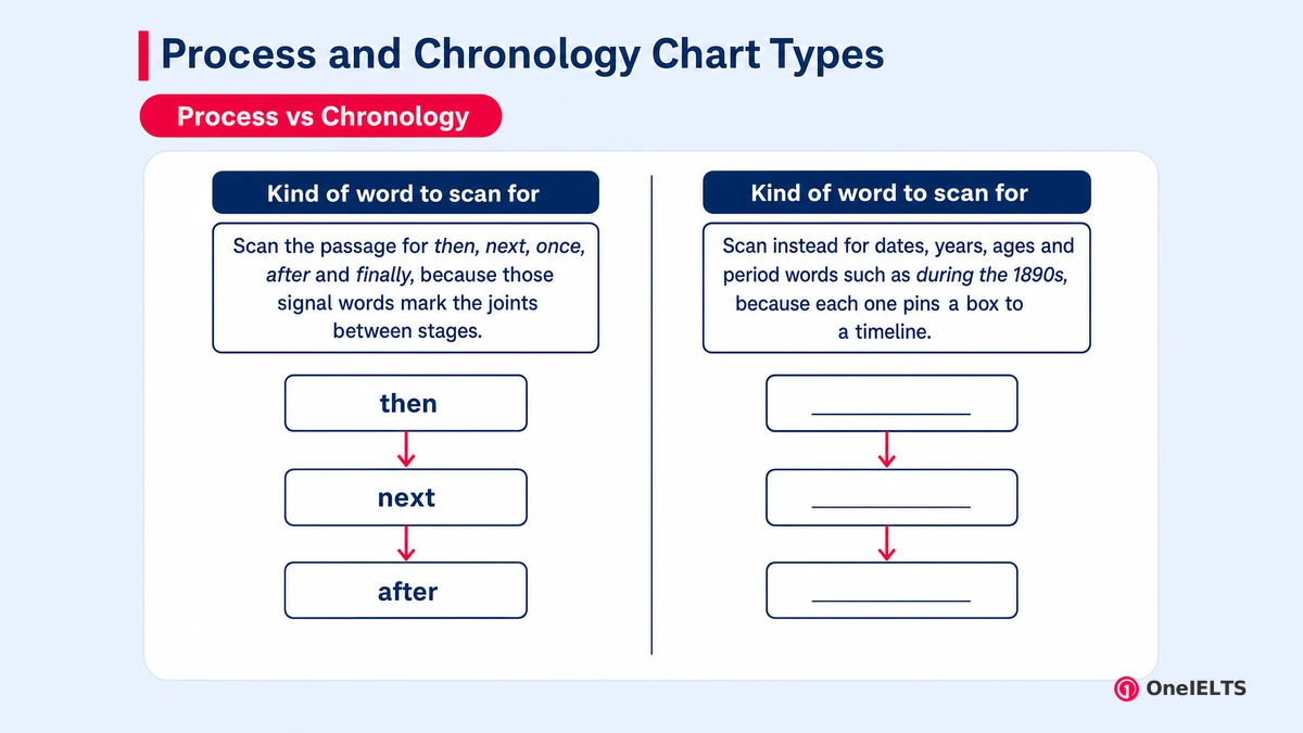 Process and Chronology Chart Types