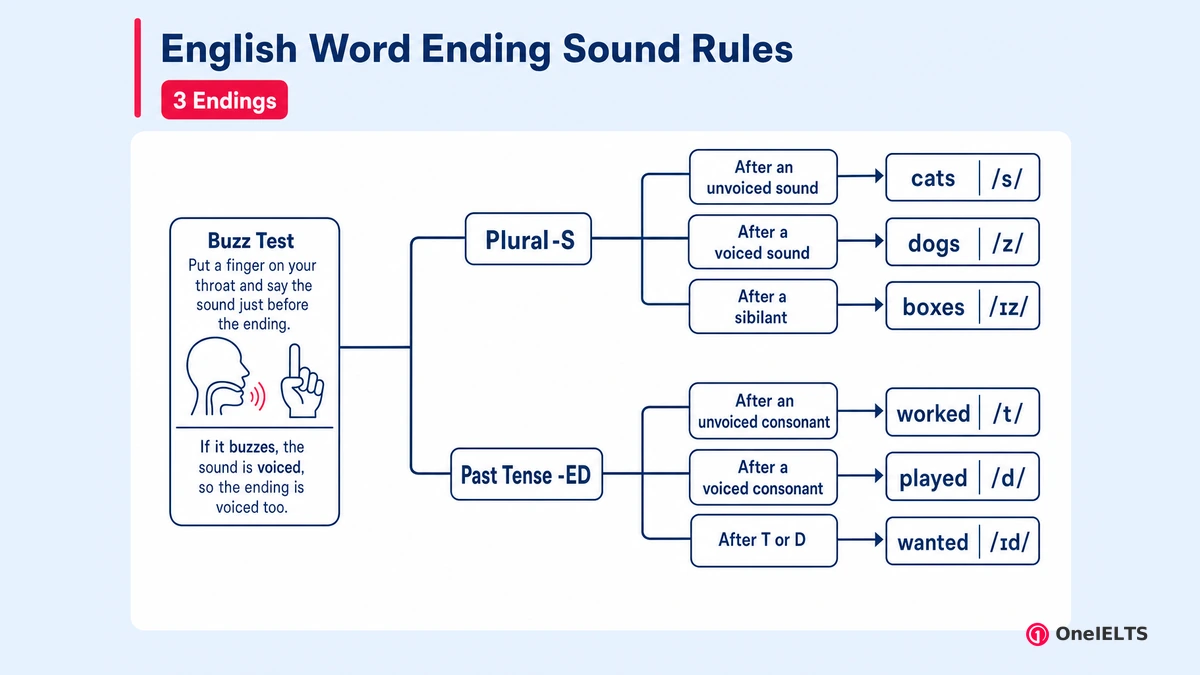 English Word Ending Sound Rules