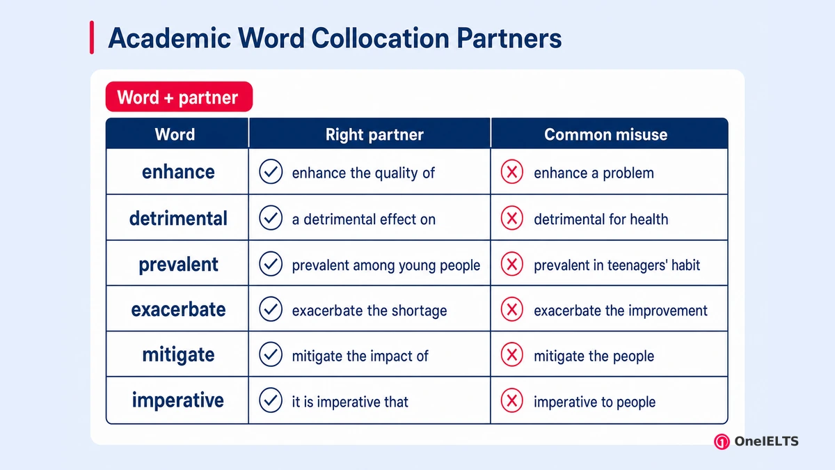 Academic Word Collocation Partners